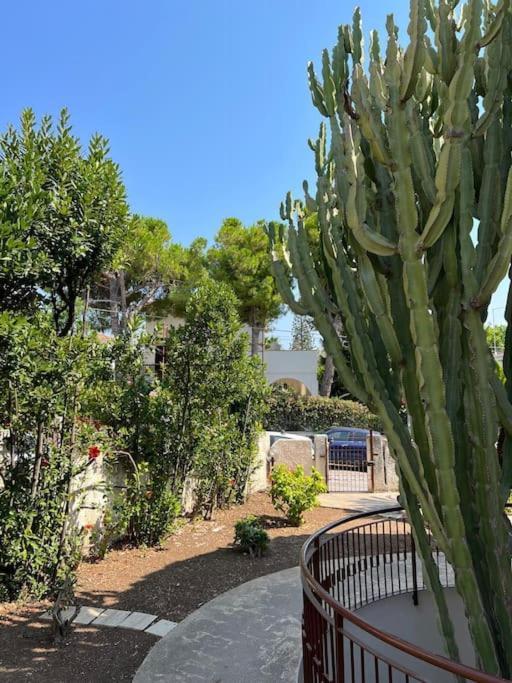 Villa Marika Fontane Bianche Esterno foto